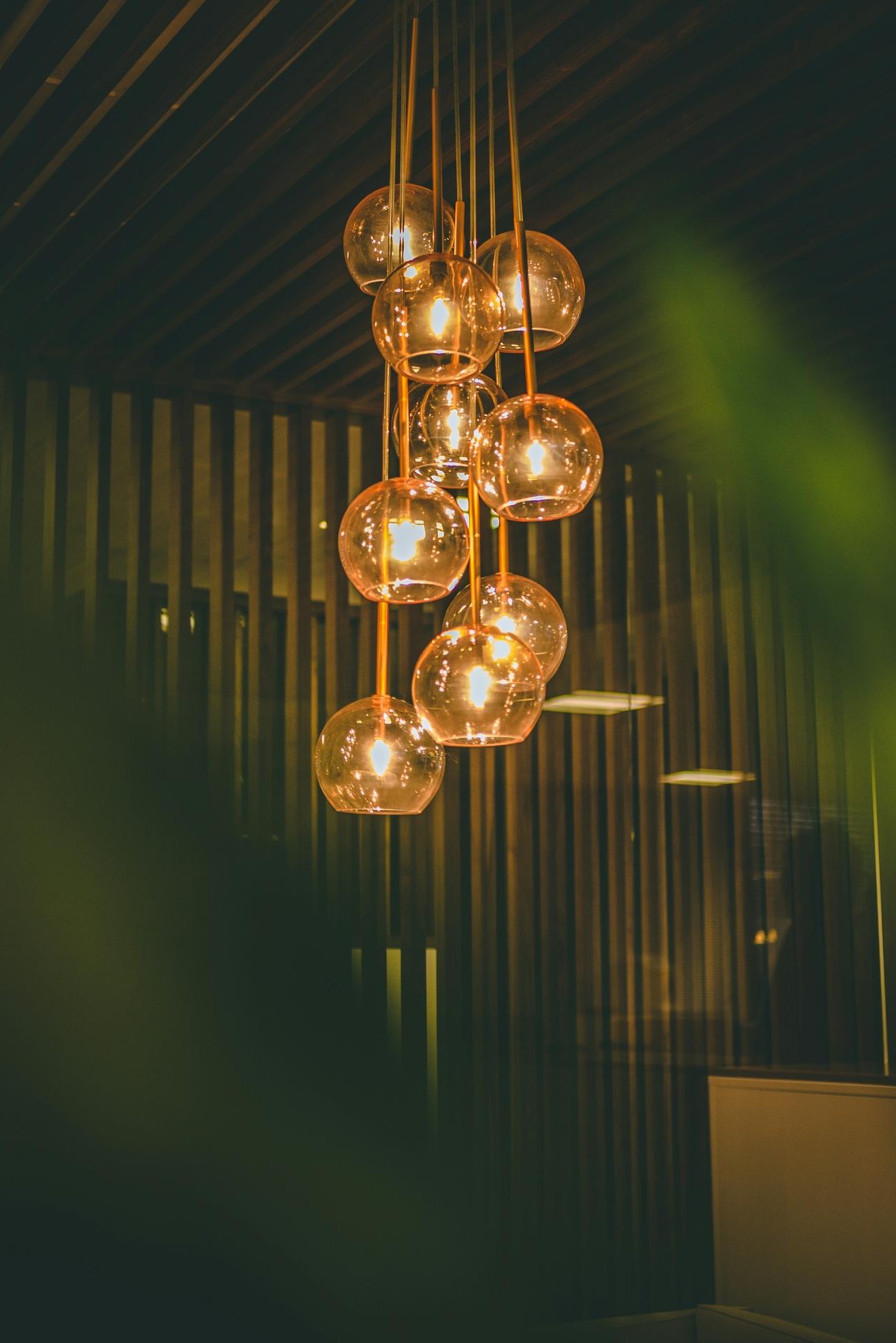 Proyecto destacado de Trazaluz